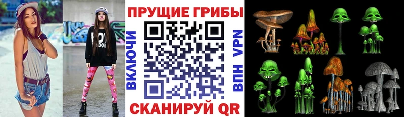 Псилоцибиновые грибы Psilocybine cubensis  MEGA маркетплейс  Гудермес 