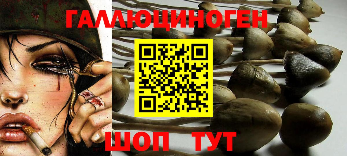 Галлюциногенные грибы GOLDEN TEACHER Гудермес