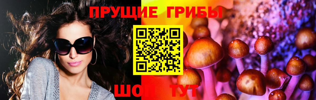 Псилоцибиновые грибы GOLDEN TEACHER  Вход с VPN  Гудермес  Псилоцибиновые грибы GOLDEN TEACHER 